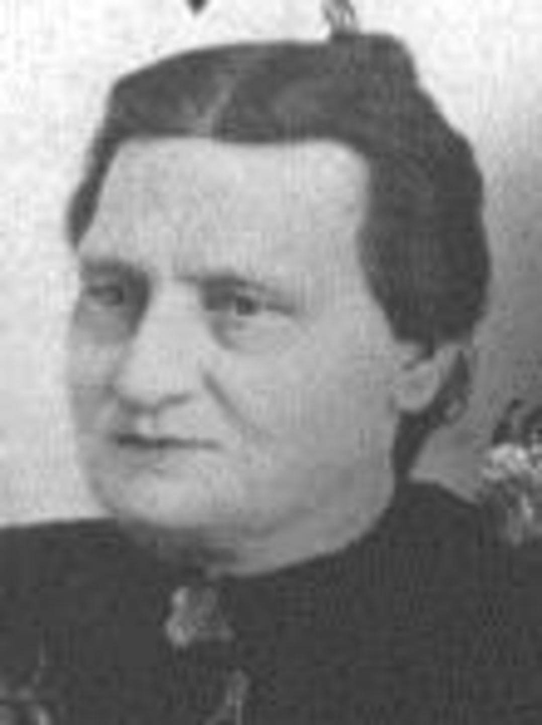 Elizabeth Lallis (1838 - 1901) Profile